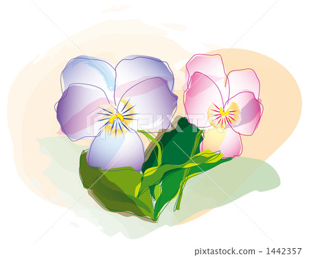 Flowers Flowers 1442357