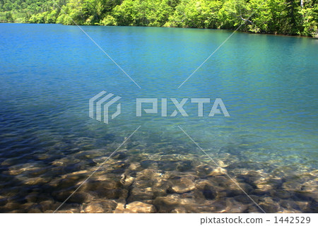 Mysterious lake lake surface Mysterious lake lake surface 1442529