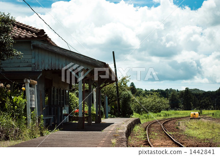 夏季本地線 1442841