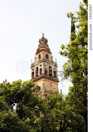Minaret (spire) which is built in Orange courtyard of Cordoba, Mesquita Minaret (spire) which is built in Orange courtyard of Cordoba, Mesquita 1442987