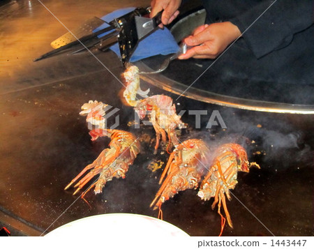 Lobster round bullshit Lobster round bullshit 1443447