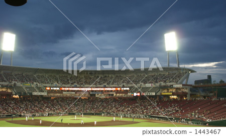 ballpark, baseball stadium, support 1443467