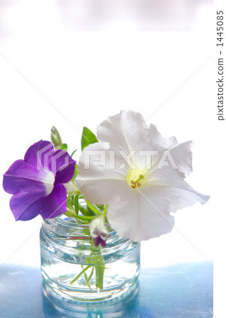 Cut flowers in summer 1445085