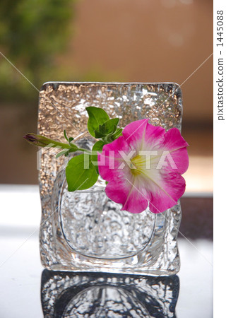 Glass vase and summer flowers 1445088