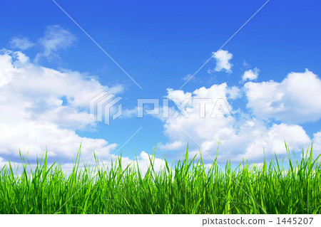 藍天大農場 藍天大農場 1445207