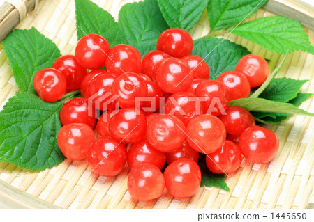 李娘 李娘 1445650