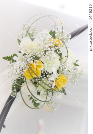 rose, roses, decorative flowers 1446216