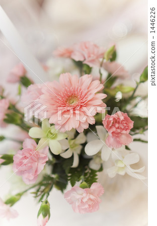 carnation, carnations, decorative flowers 1446226