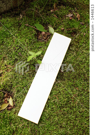 Mossy shade strips Mossy shade strips 1446613