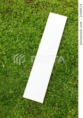 Strips on moss 1446614