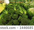 A lot of broccoli 1446685