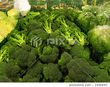 A lot of broccoli A lot of broccoli 1446685
