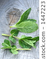 Mint 1447223