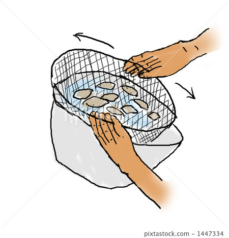baby-neck clam, shell, shellfish 1447334