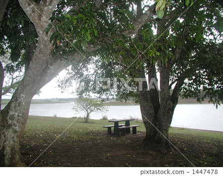  Atherton Takahara River 1447478