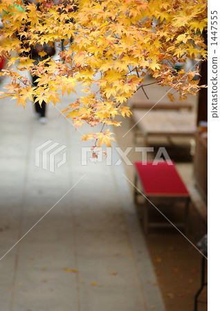bench, stone pavement, grounds 1447555