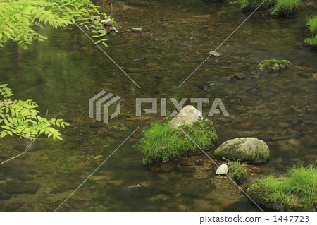 mountain stream, mountain torrent, river surface 1447723