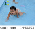 Hijii in the pool 1448853