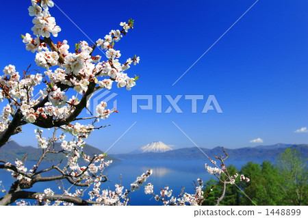 Plum garden from Sobetsu Park 1448899
