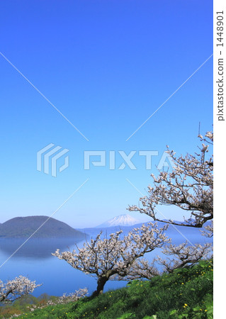 Sobetsu公園的梅花園 1448901