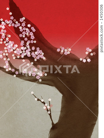 Cherry Blossoms	 1450306