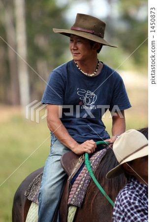 男人 內陸 馬 1450873