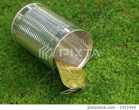 Empty can (Moss back) 1451448