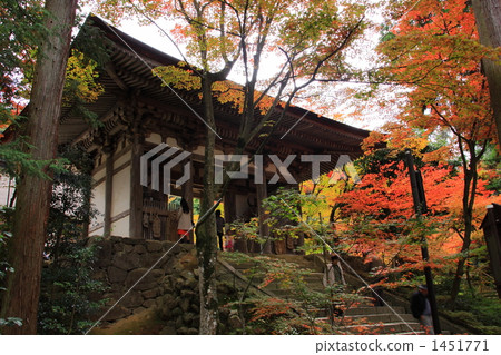 Saigo Saigoji 1451771