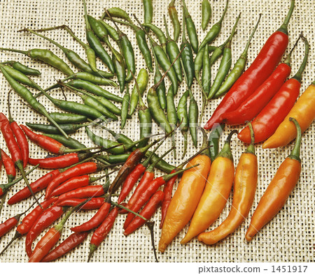 Pepper gathering 1451917