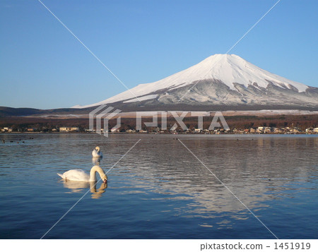 Fine weather 1451919