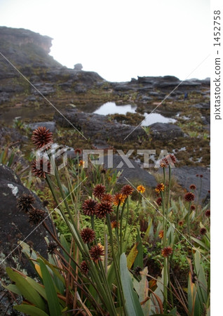 Scenery of Roraima summit 1452758