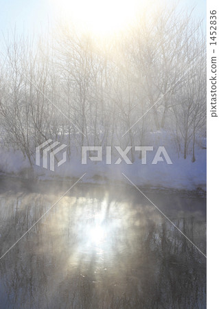 反射射線 反射光 反射 1452836