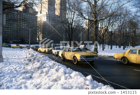Road in Central Park 1453115