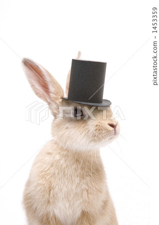 A bunny rabbit with a bowler hat 1453359