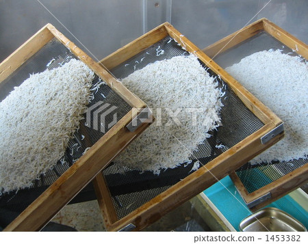 Pickled fried shirasu at the hunter-over fishing port 1453382
