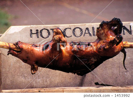 烤豬肉 1453992