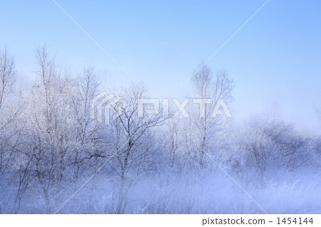 與霜冰的樹 1454144