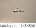 Jump Up, water strider, jumping 1454530