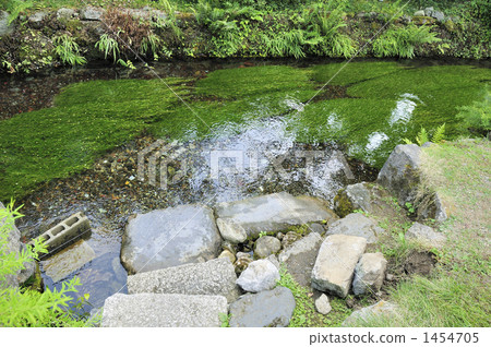 Awaigai是Jizo河清澈的溪流景觀 - 第3部分 1454705