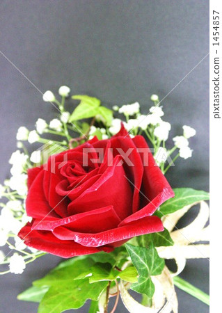 kasumi flower, red rose, corsage 1454857