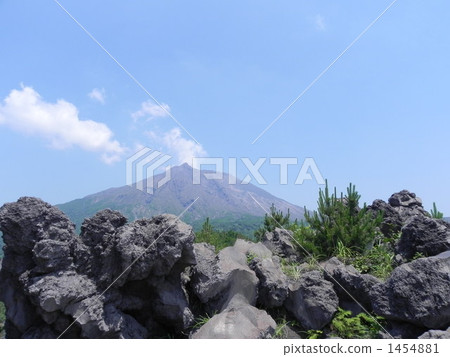 岩漿 櫻島 樹木 1454881