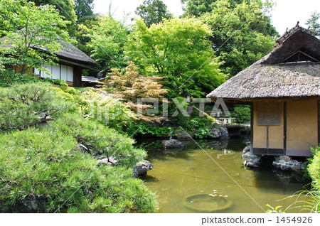 寧永坂的日本庭園 1454926