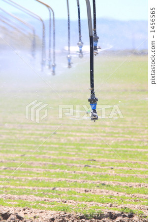 Up of sprinkling tube 1456565