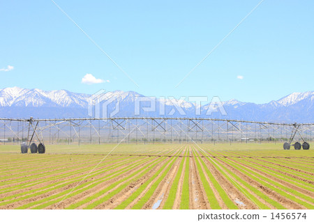 Irrigation 1456574