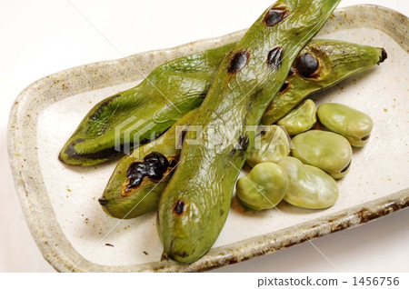 broad bean, faba bean, fava bean 1456756