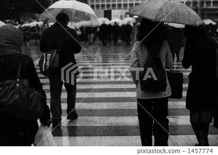 crossing, crosswalk, crosswalks 1457774