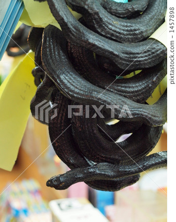Traditional food in Okinawa · Iraq (snake) 2 1457898