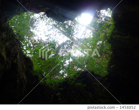 Yakushima Wilson shares 1458852