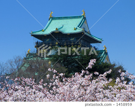 Osaka castle and cherry blossoms 1458959