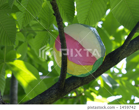 在樹的一個紙氣球 1459742